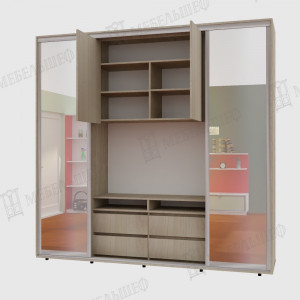 Шкаф-купе с ТВ зоной (55" диагональ) 2500*450*2400