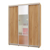 Шкаф-купе Алекса 1800*600*2100 Шкаф-купе Алекса 1800*600*2100