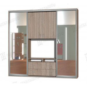 Шкаф-купе с ТВ зоной (42" диагональ) 2500*450*2400