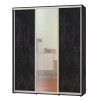 Шкаф-купе Алекса 2300*500*2600